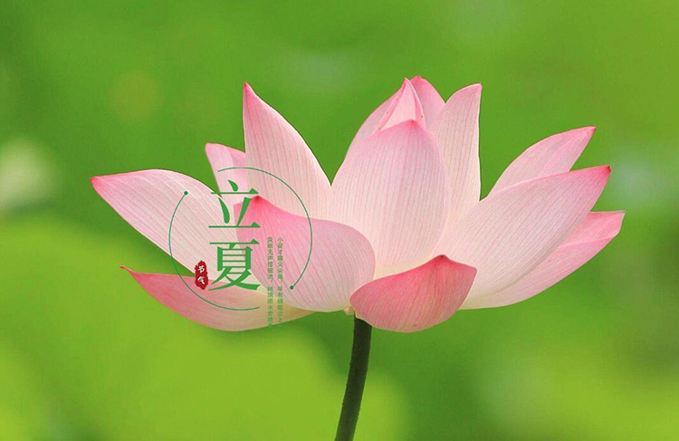 恩博士书包,新宝gg箱包,包包生产厂家,广东新宝gg科技